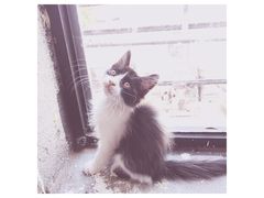 -五月木作·DIY木作文创体验店(北京路店)