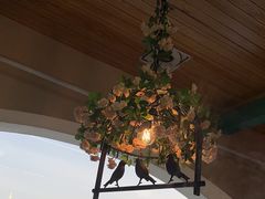 -港畔赶海蒸汽海鲜烧烤自助(仙螺岛店)