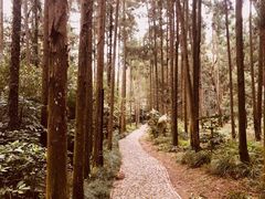 -狼山风景名胜区