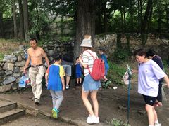 -阳台山自然风景区