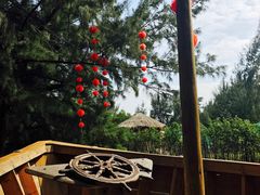 -北海金海湾红树林生态旅游区