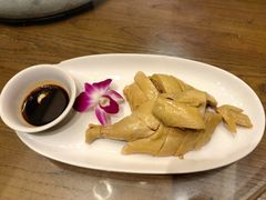 -新白鹿餐厅(龙游路店)