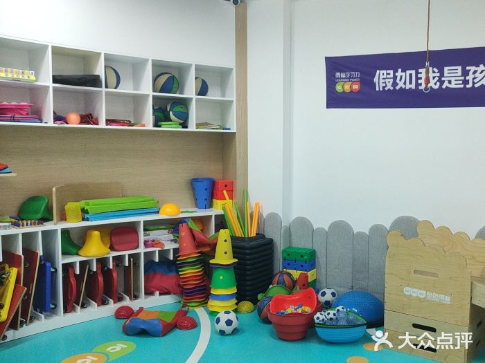 金色雨林学习力培优(专注力提升)图片