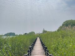 -苏州太湖湖滨国家湿地公园