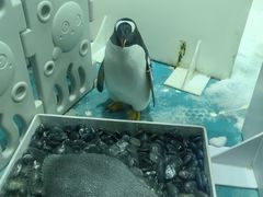 -正佳极地海洋世界