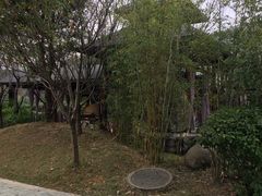 -咸宁万豪温泉谷度假区