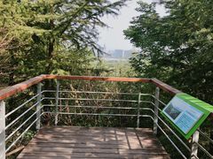 -西湖风景区-江洋畈生态公园