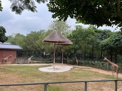 -深圳野生动物园