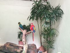 -吉隆坡雀鸟公园