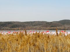 -棋盘山冰雪大世界