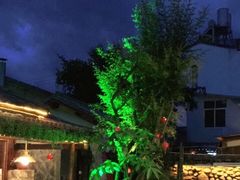 -尽善百年古院餐厅(王家老宅店)