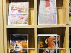 -猫的天空之城概念书店(苏州诚品店)