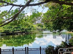 -荔枝公园(福田区)