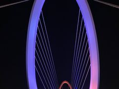 -南京眼步行桥