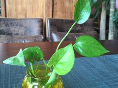 -碧露轩·大益茶体验馆(镇江路店)