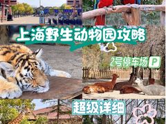 -上海野生动物园