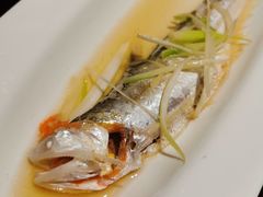 清蒸刀鱼-扬州狮子楼·非遗淮扬菜(总店)