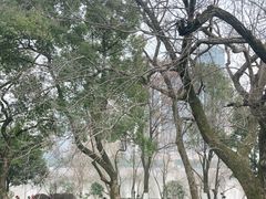 -橘洲1910花园江景西餐厅