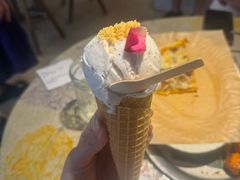 -野草莓自由市场