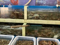 水产区-王潮活海鲜自助·蒸汽海鲜