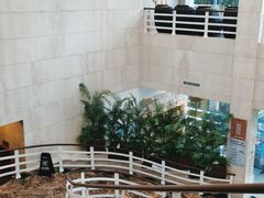 -海兰云天度假区温泉