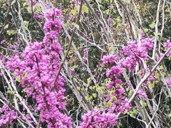 -苏州河梦清园环保主题公园