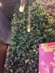 -T.1 hair salon烫染接发