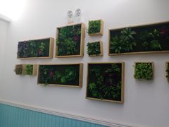 -云鱿记鱿鱼鸡·野生菌火锅(人民南路店)