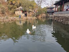 -水绘园