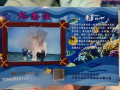-上海海洋水族馆