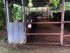 -元鼎宝驴香·全驴宴(江宁店)