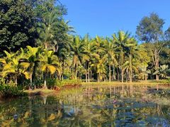 -中国科学院西双版纳热带植物园