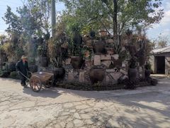 -桃园农庄·桃源宴