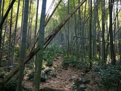 -会稽山峡洞漂流-上青古道