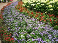 -黑龙江省森林植物园