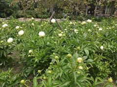 -长春公园(普阳街道)