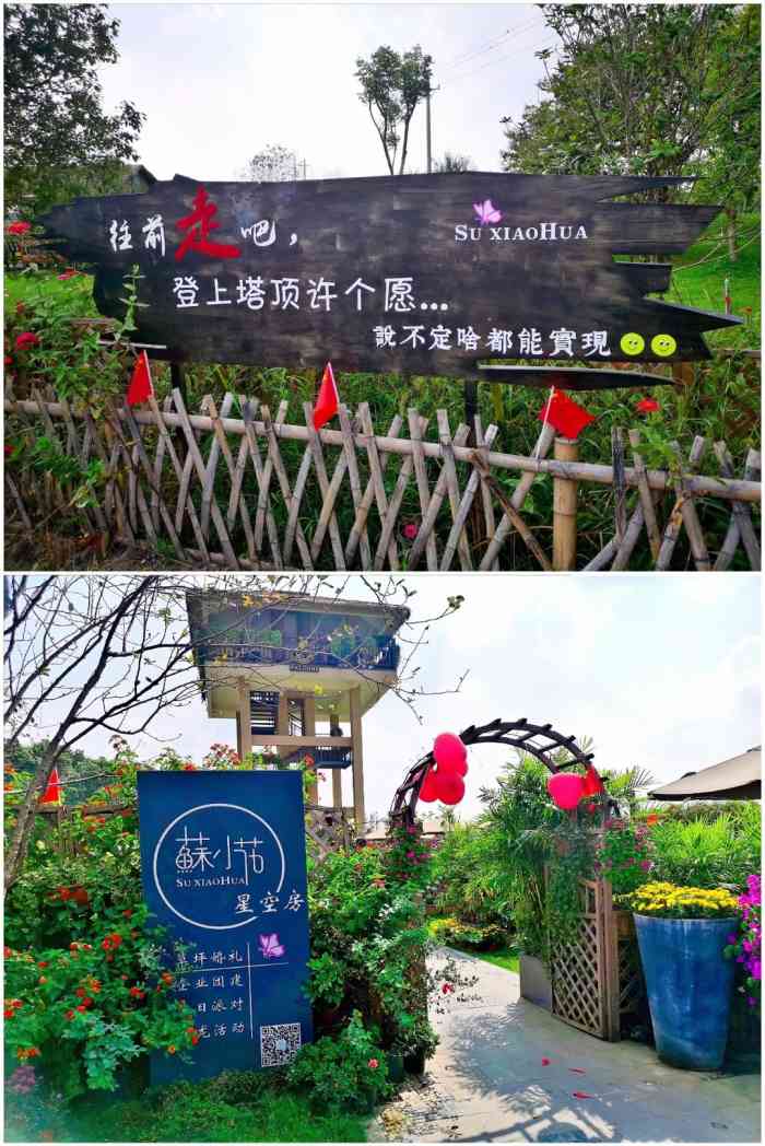 苏小花-"偶然在点评主页发现吴江这家新开的网红店."-大众点评移动版