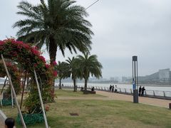 -野狸岛