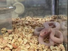 -三旗百汇商品城