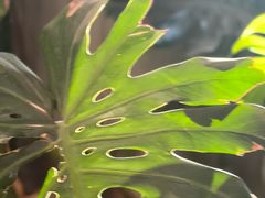 -漪龙台·B26 Rooftop Lounge