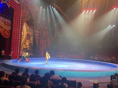 -珠海横琴长隆《卡卡虎奇遇记》