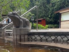 -碧水湾温泉