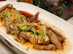-大鸽饭(动物园店)