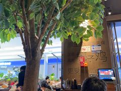 -同仁四季椰子鸡(宝安壹方城店)