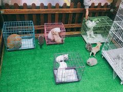 -丽达购物中心(崂山店)