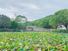 -普陀山风景区-佛顶山