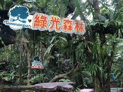 -绿光森林餐厅