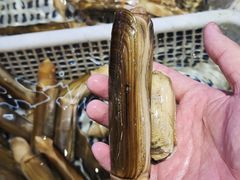 -万宝海鲜舫(劳动公园店)