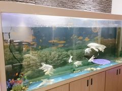 -食悦江南·淮扬菜·烤鸭(亚运村·惠新店)