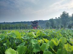 -渭南桃花源民俗文化园